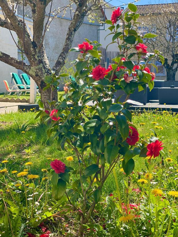 Villa L'Escapade Perigourdine, Wifi, Parking, Netflix, Piscine à Coulounieix-Chamiers Extérieur photo